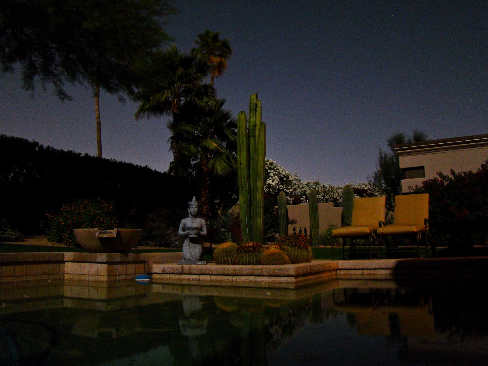 Backyard At Night
 Scottsdale Daily Backyard swimming pool at night