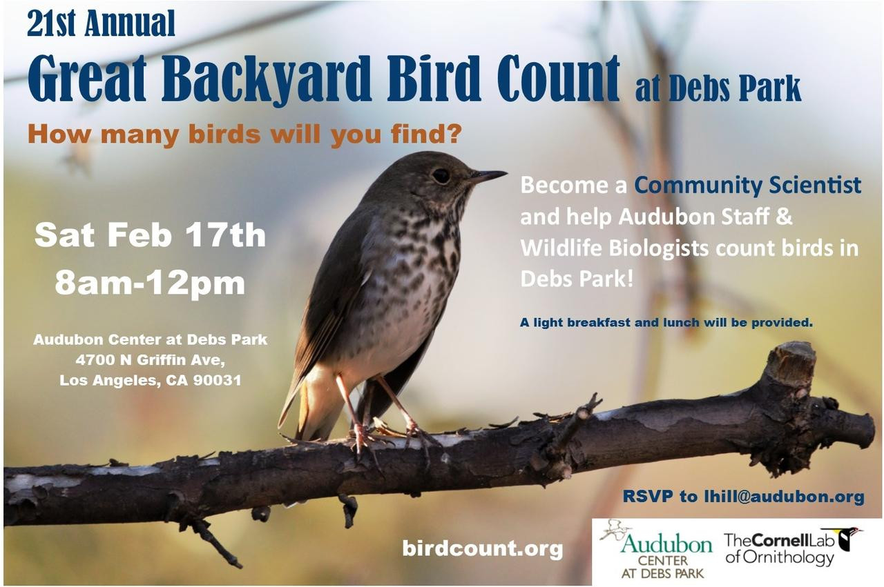 Backyard Bird Count
 21st Annual Great Backyard Bird Count