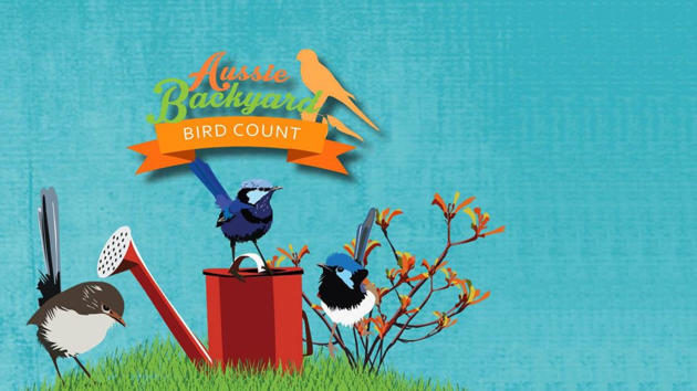 Backyard Bird Count
 Aussie Backyard Bird Count