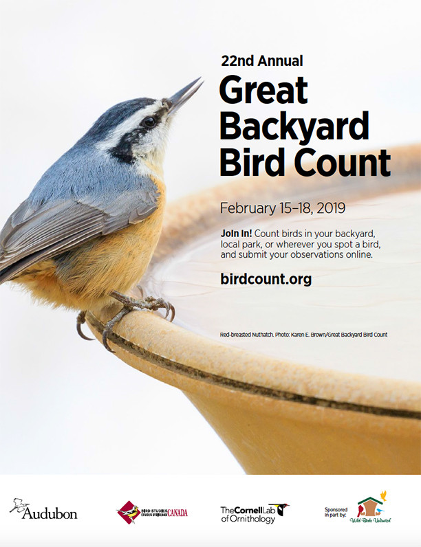Backyard Bird Count New Wild Birds Unlimited About the Great Backyard Bird Count