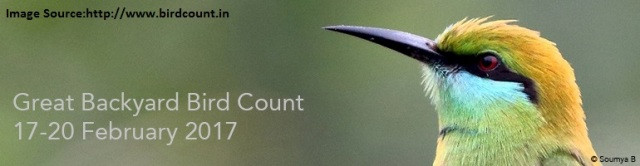 Backyard Bird Count
 GBBC 2017 bird species of India are in HP