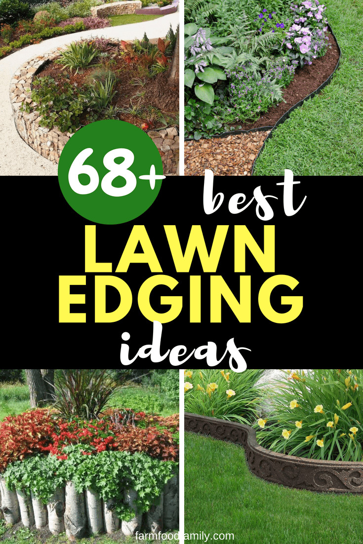 Backyard Border Ideas
 68 Lawn Edging Ideas That Will Transform Your Garden