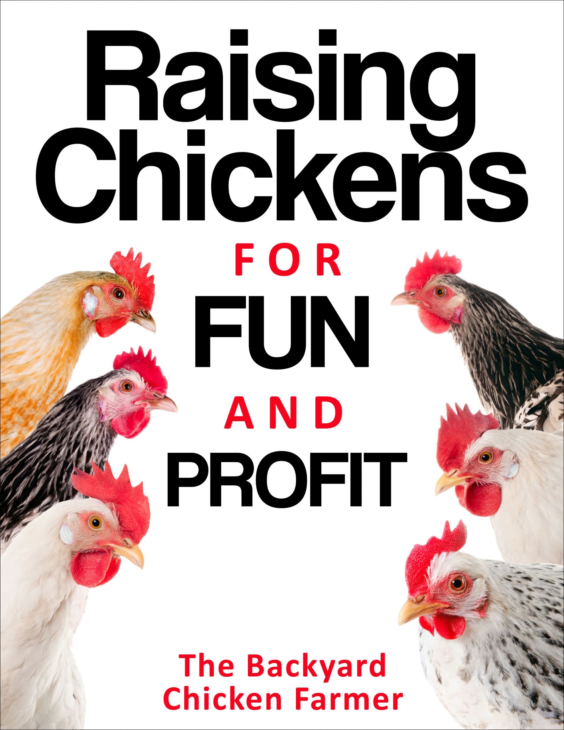 Backyard Chickens Breeds
 Raising Chickens for Fun and Profit The Backyard Chicken
