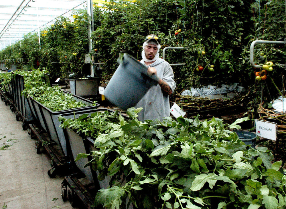 Backyard Farms Madison Maine
 Backyard Farms considers plan to reduce greenhouse waste