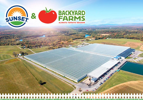 Backyard Farms Madison Maine
 Mastronardi Produce Acquires Backyard Farms