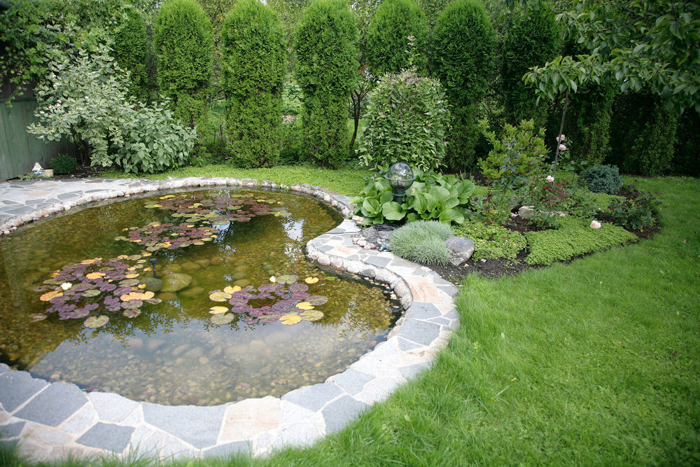 Backyard Pond Designs
 35 Backyard Pond GREAT Landscaping Ideas