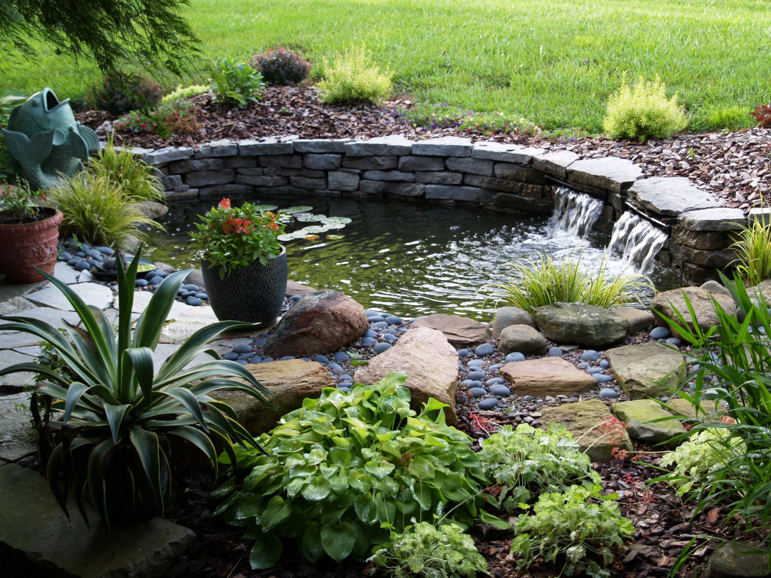 Backyard Pond Designs
 How to build a pond in your garden