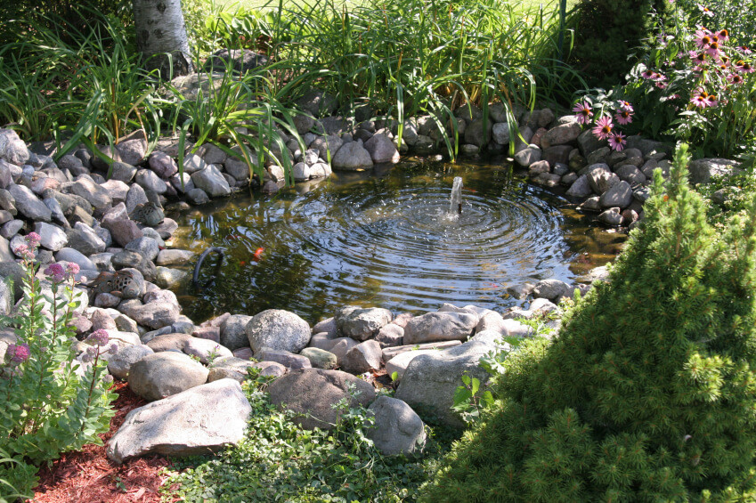 Backyard Pond Designs
 60 Backyard Pond Ideas s
