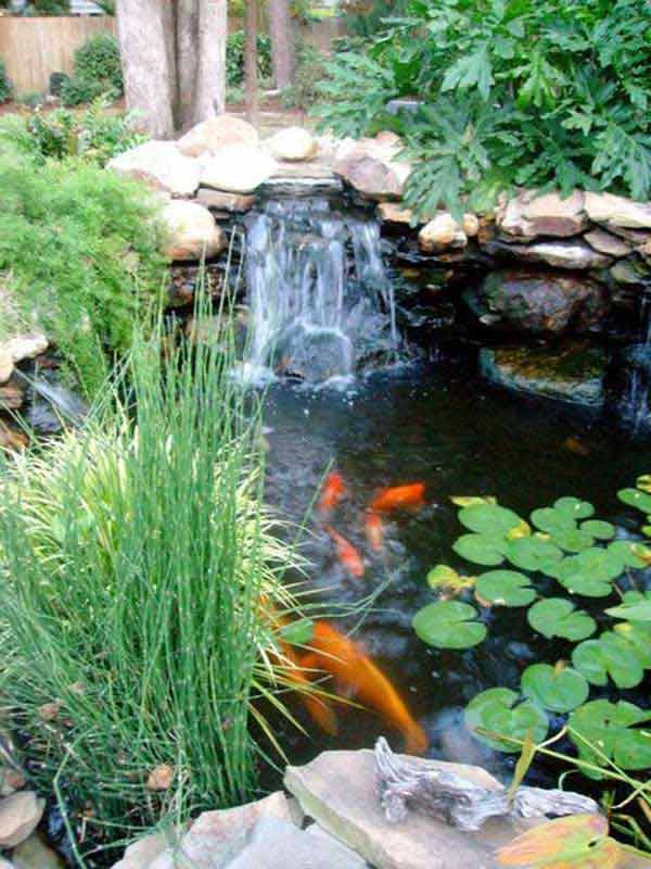 Backyard Pond Designs
 35 Impressive Backyard Ponds and Water Gardens Amazing