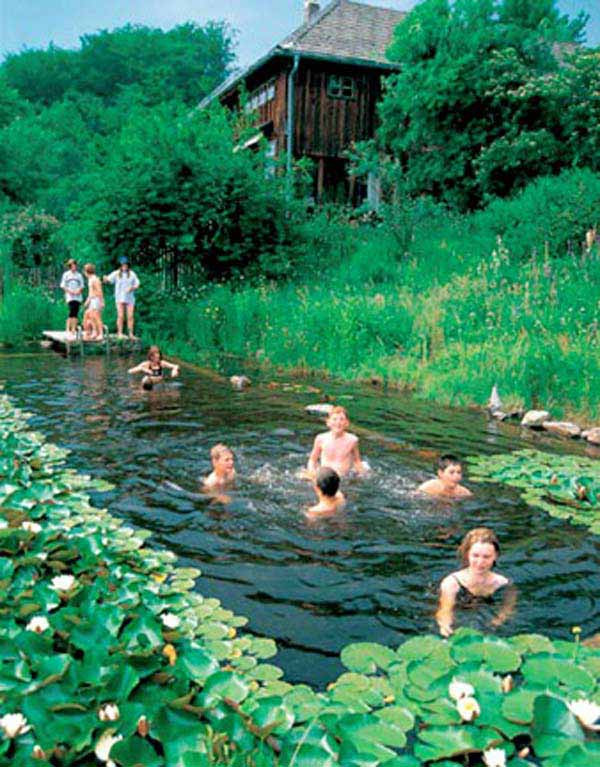 Backyard Swim Pond
 24 Backyard Natural Pools You Want To Have Them