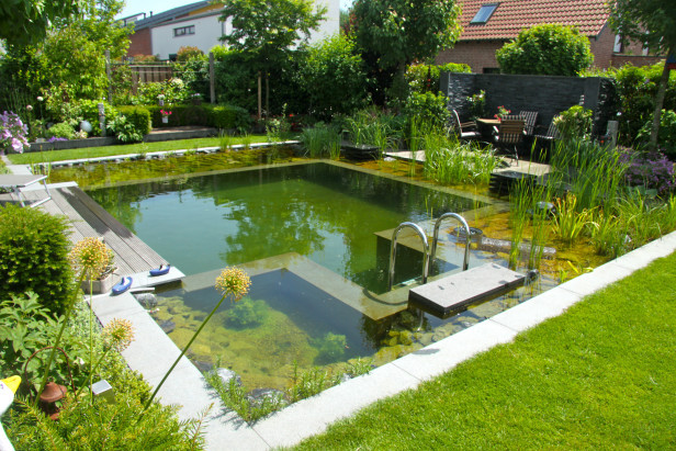 Backyard Swim Pond
 15 que Natural Swimming Pools for Your Indulgence
