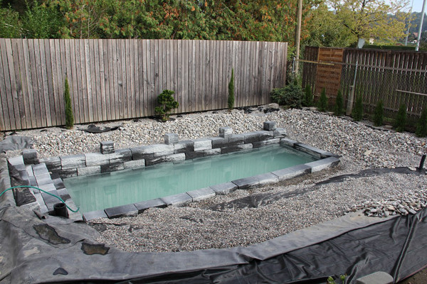 Backyard Swim Pond
 Ingenious Backyard Landscaping Design DIY Project Swimming