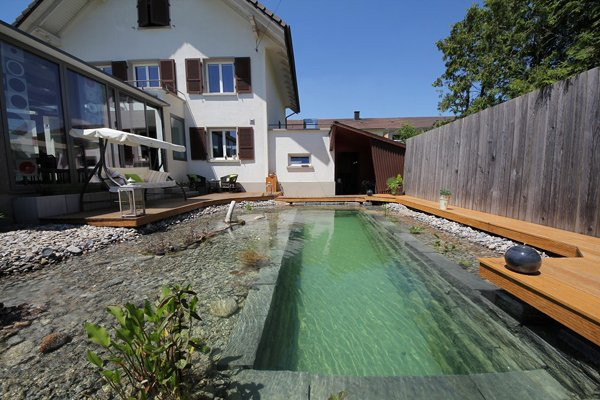Backyard Swimming Pond
 This Guy s Ambitious Project For His Backyard Actually
