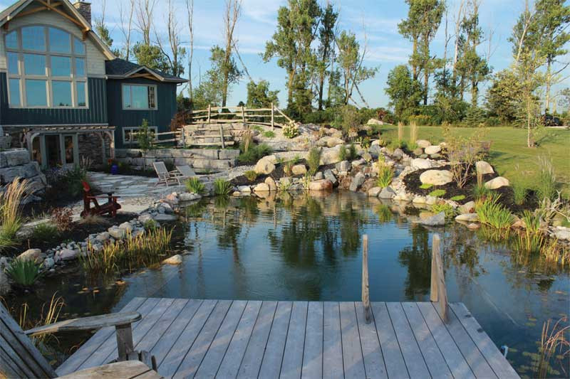 Backyard Swimming Pond
 Swim ponds The au naturel backyard Pool & Spa Marketing