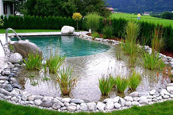 Backyard Swimming Pond
 24 Backyard Natural Pools You Want To Have Them
