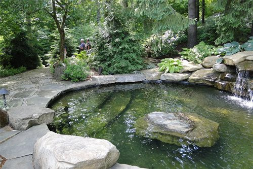 Backyard Swimming Pond
 s of Cleveland Gardens Landscaping Network