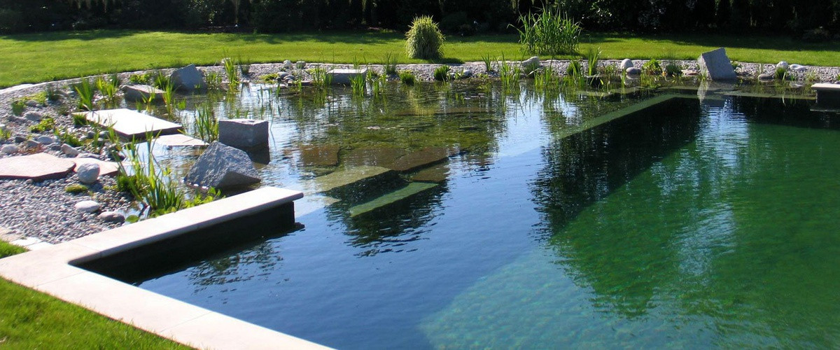 Backyard Swimming Pond
 All about Natural Swimming Pools Ecohome
