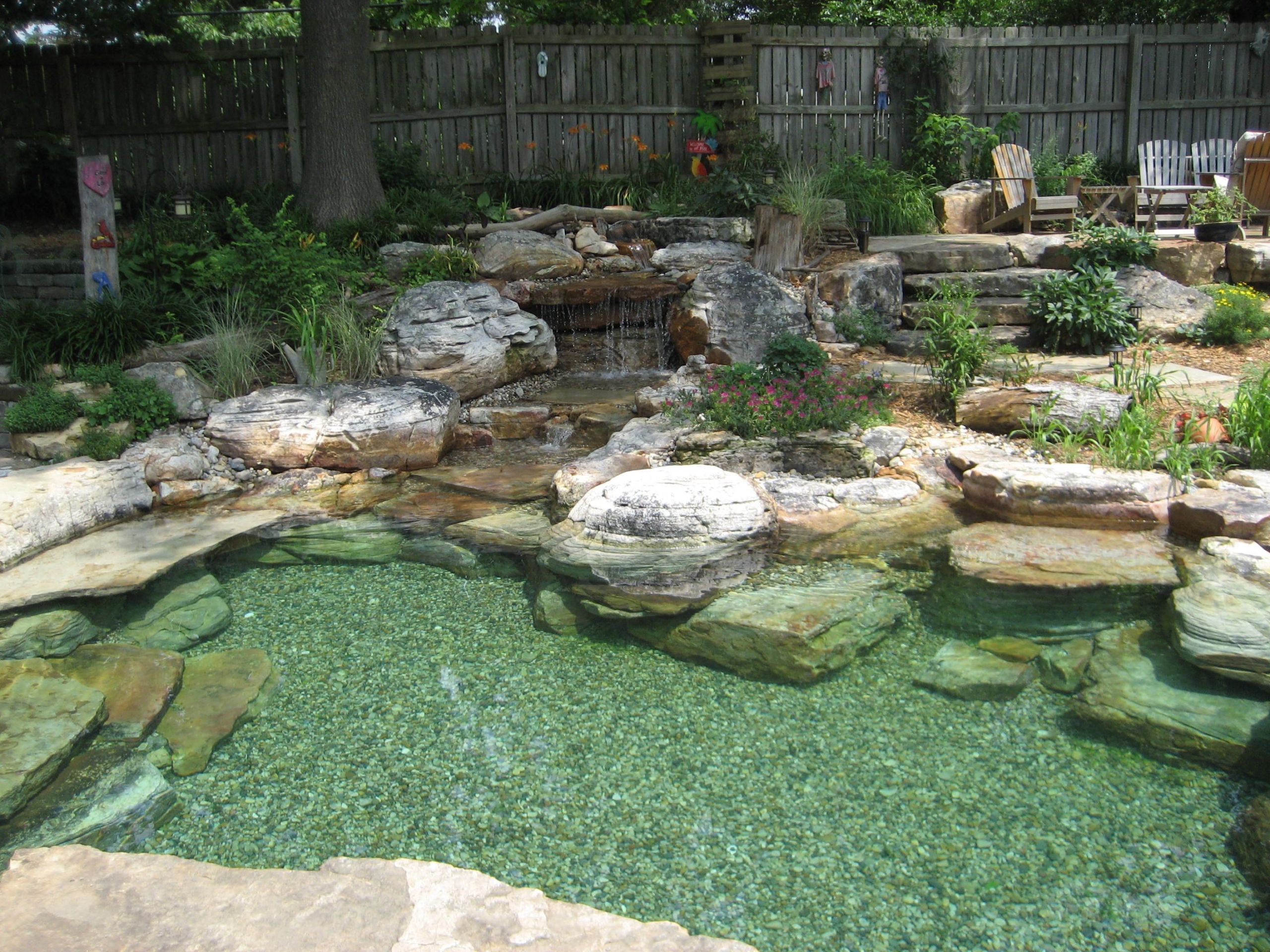 Backyard Swimming Pond
 natural swimming pool