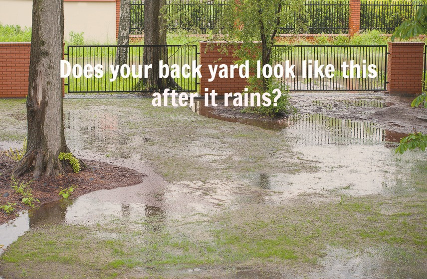 Backyard Water Drainage
 Home Maintenance Tip Solve Poor Yard Drainage Issues