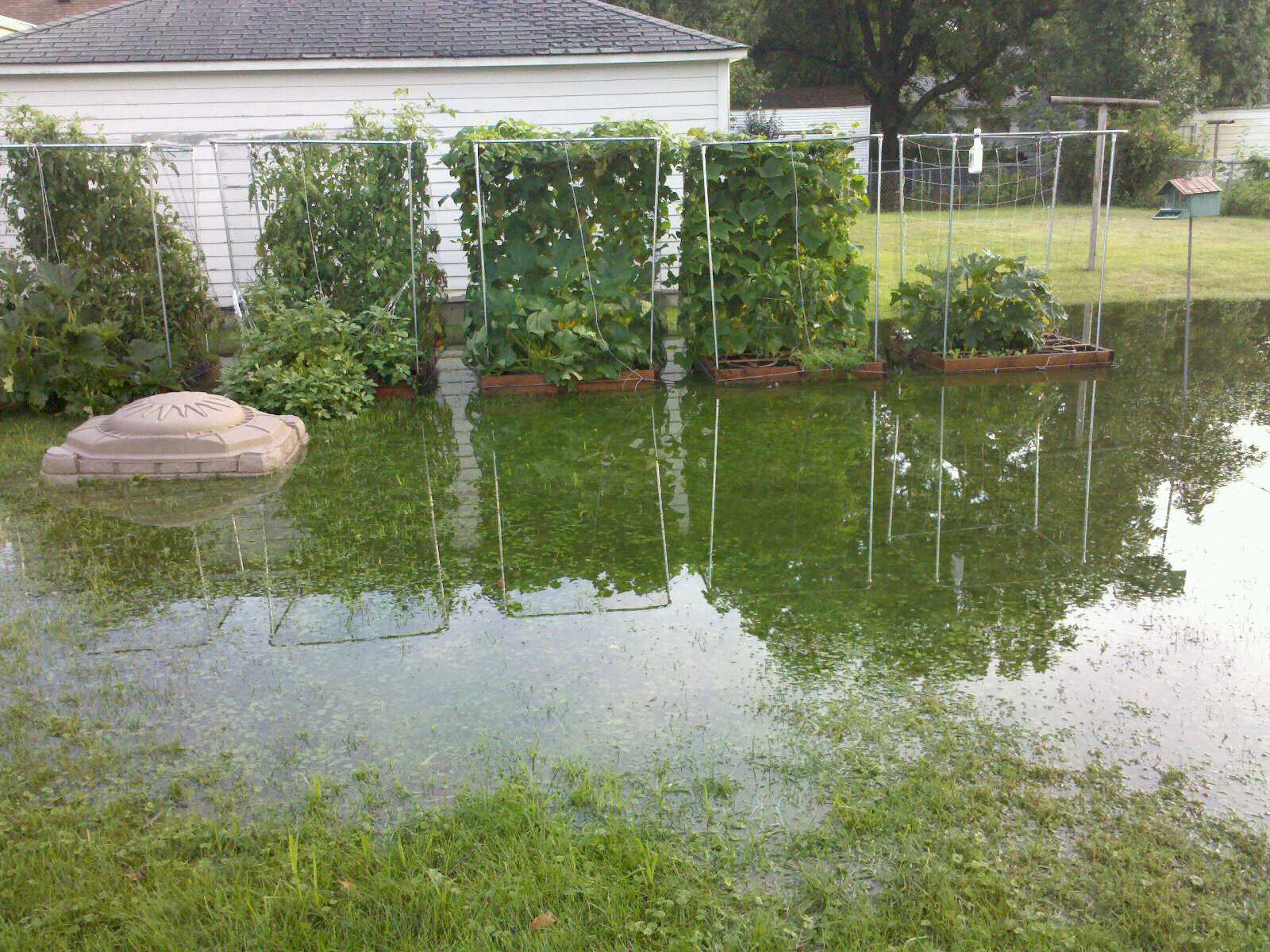 Backyard Water Drainage
 Irrigation Tech Rochester NY
