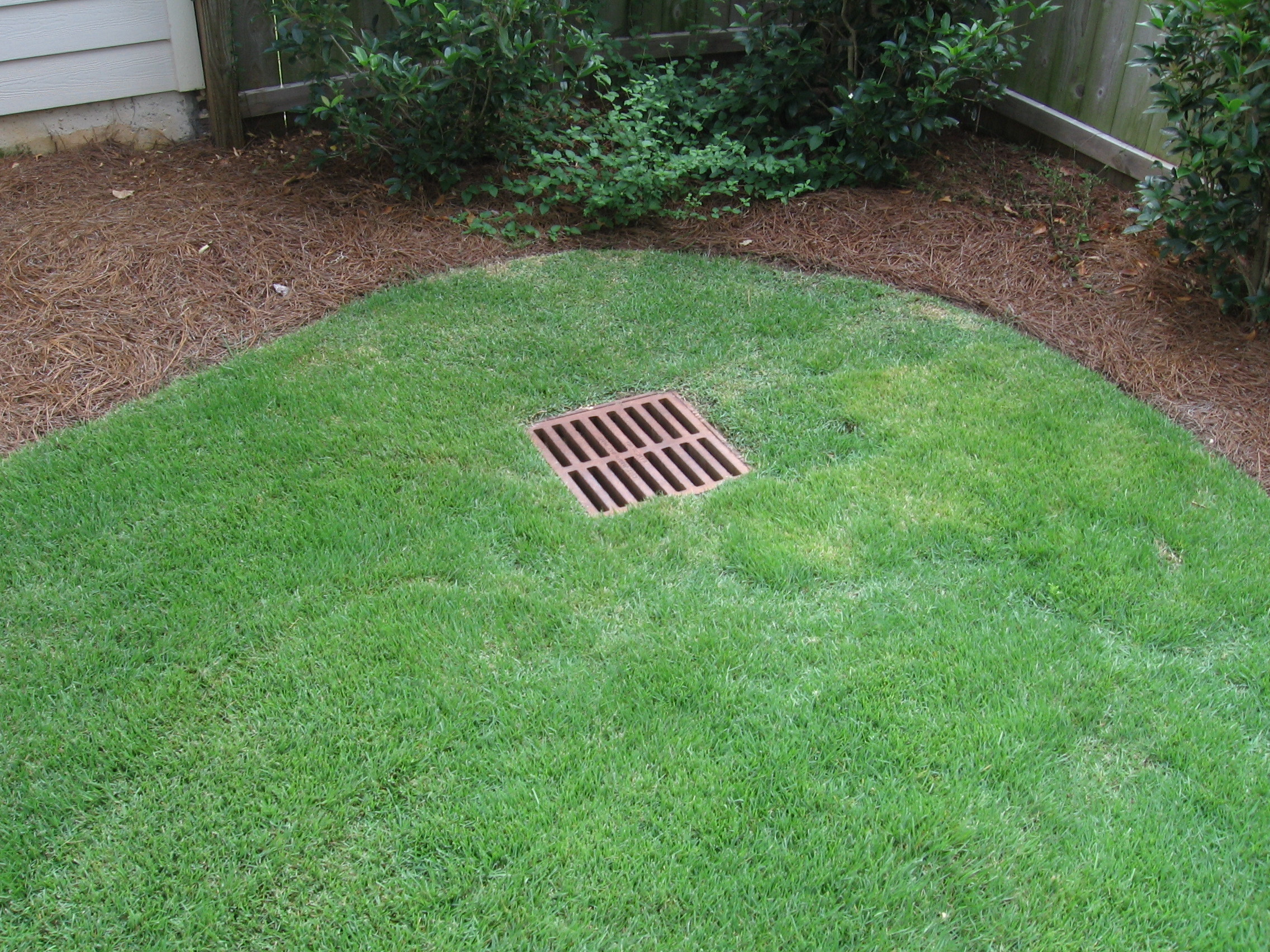 Backyard Water Drainage
 Denver Lawn and Landscape