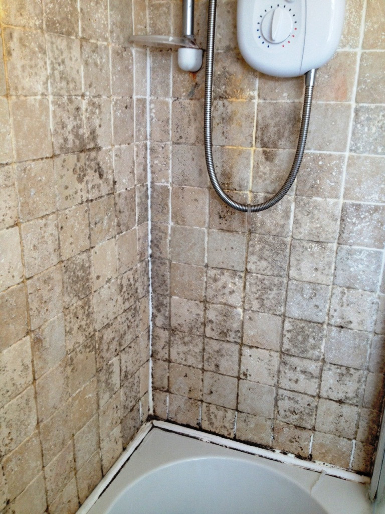 Bathroom Tile Restoration Luxury Removing Mould From Travertine Bathroom Tiles – Stone