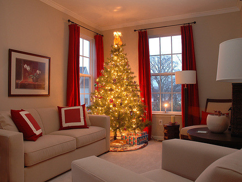 Christmas Lights In Living Room
 Christmas Christmas tree lights christmas lights Living