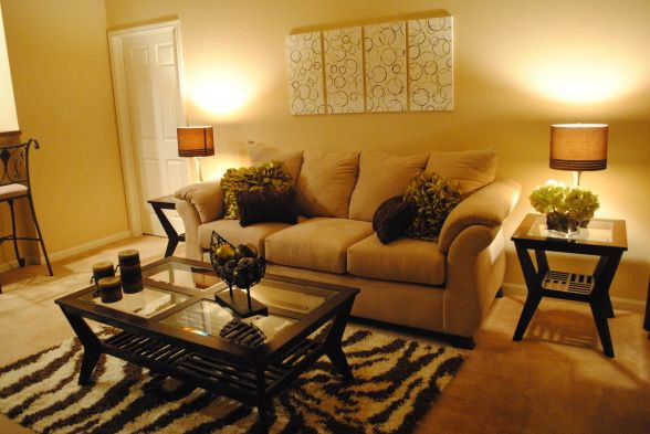 College Living Room Ideas
 College Apartment Living Room Hi Im a college student on