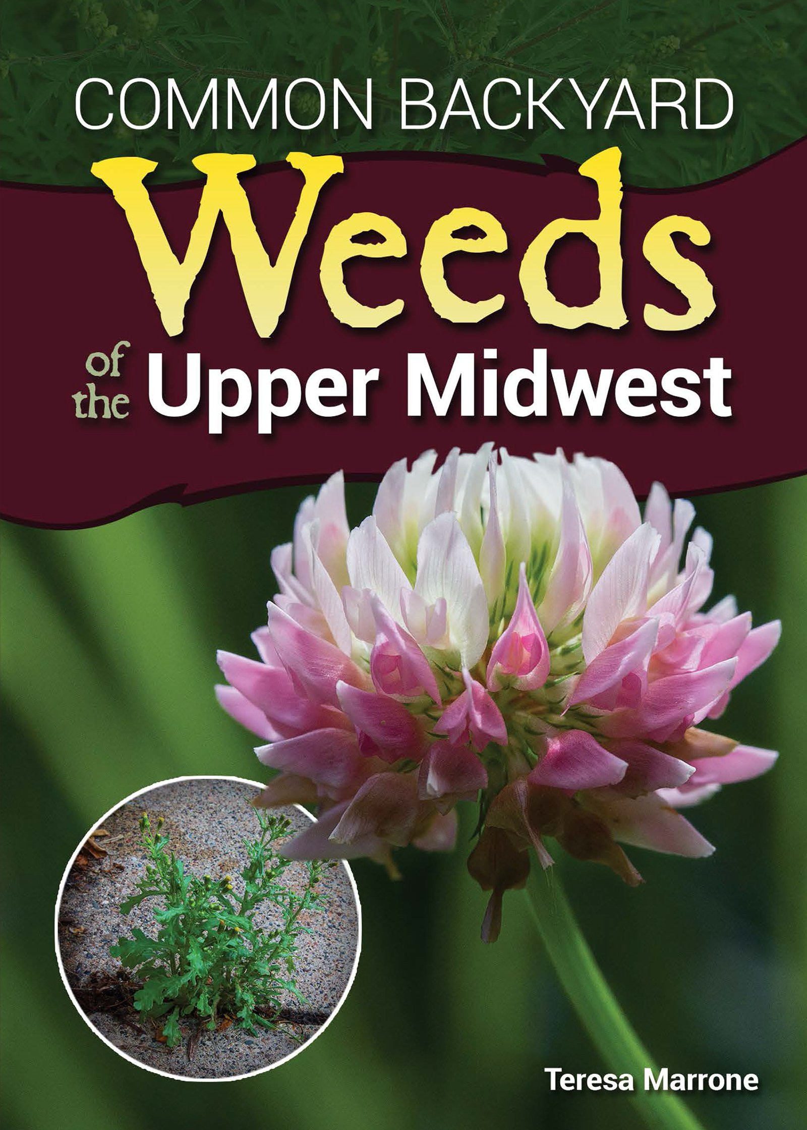 Common Backyard Weeds
 Landscaping with Native Plants of Wisconsin [978