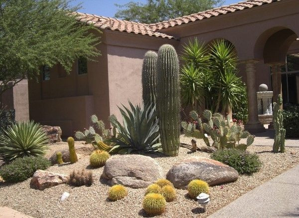 Desert Landscape Front Yard
 Desert landscaping ideas – basic rules to design a great