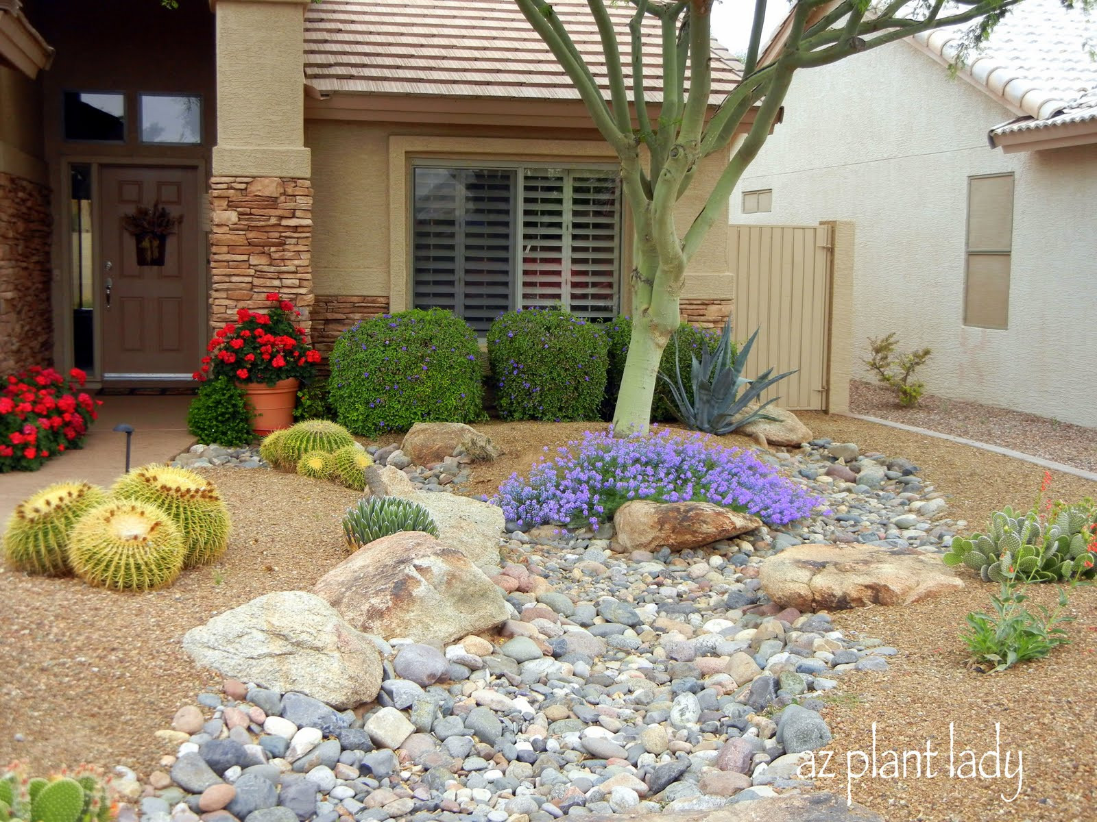 Desert Landscape Front Yard
 Showing Love Through Pruning Ramblings from a