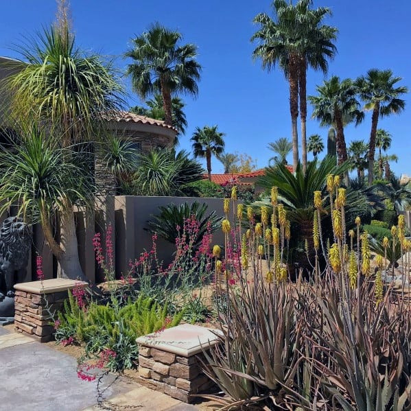 Desert Landscape Front Yard
 Top 70 Best Desert Landscaping Ideas Drought Tolerant Plants