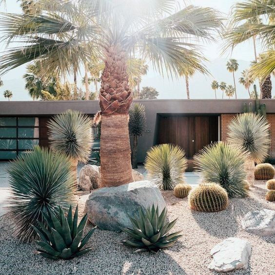 Desert Landscape Front Yards
 Top 70 Best Desert Landscaping Ideas Drought Tolerant Plants