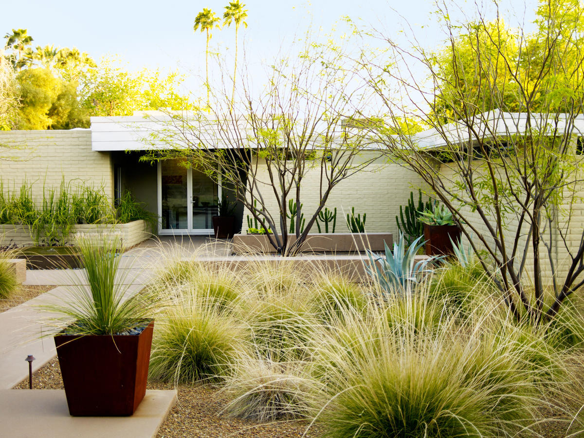 Desert Landscape Front Yards Elegant 4 Essential Desert Landscaping Ideas Sunset Magazine