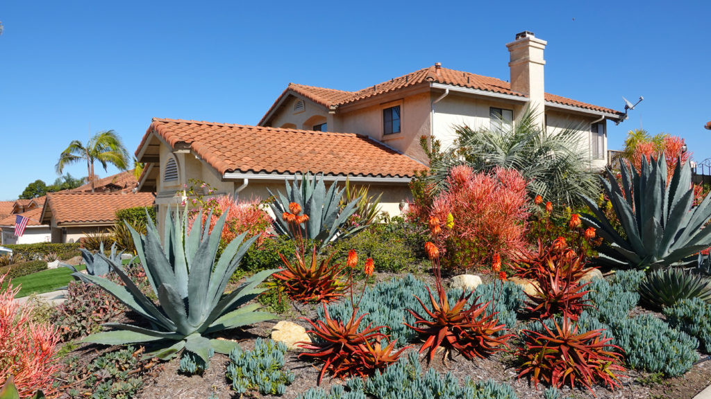Desert Landscape Front Yards
 What Is Desert Landscaping and Why Do You Need It