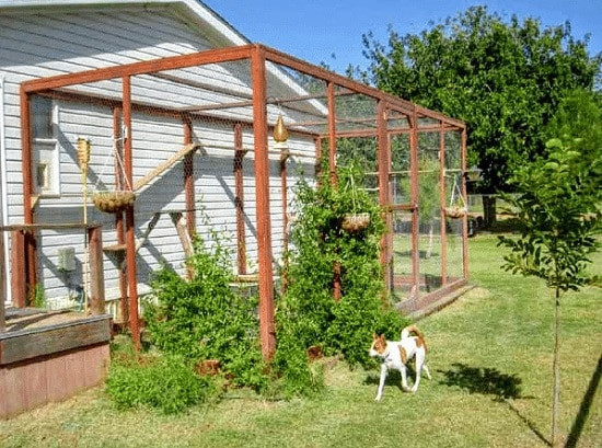 DIY Cat Enclosure Plans
 25 Best DIY Cat Enclosure Plans & Ideas ⋆ Bright Stuffs