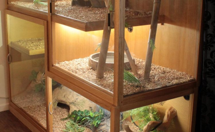 DIY Reptile Enclosure Plans
 25 Awesome Diy Reptile Enclosure meowlogy