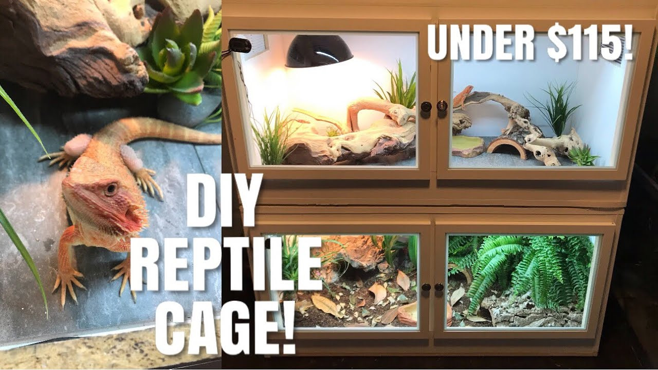 DIY Reptile Enclosure Plans
 How To Build Your Own Reptile Enclosure