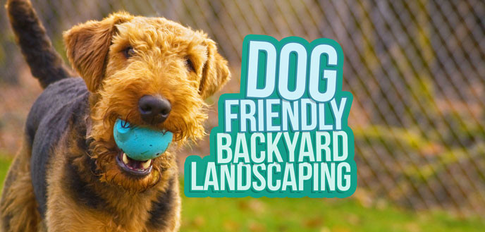 Dog Friendly Backyard Landscaping
 Dog Friendly Backyard Landscaping Ideas