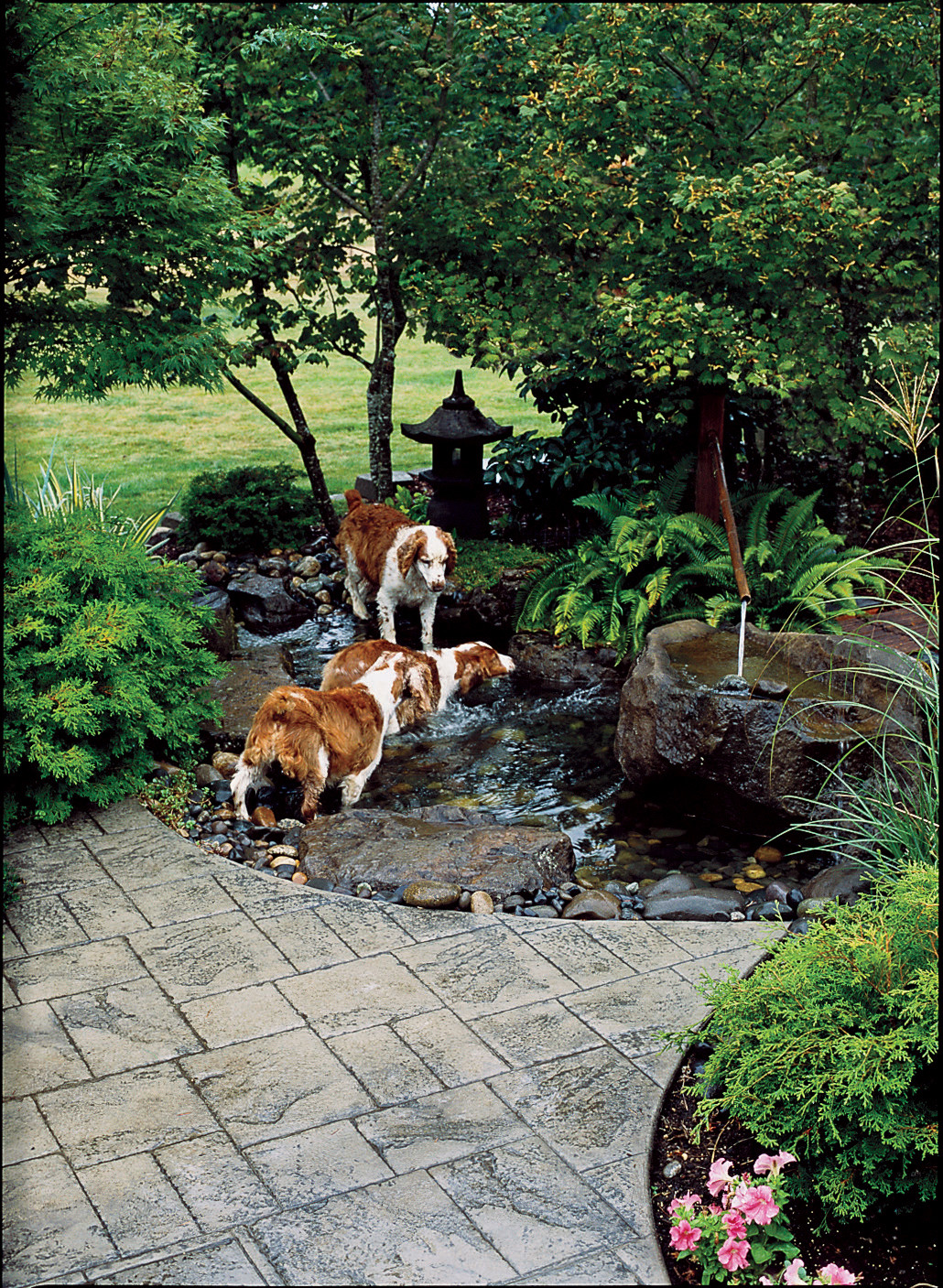 Dog Friendly Backyard Landscaping
 How to Create a Dog Friendly Garden Sunset Magazine