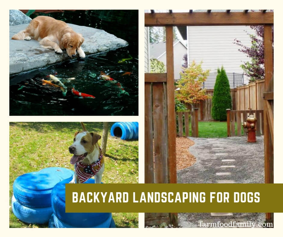 Dog Friendly Backyard Landscaping
 6 Great Dog Friendly Landscaping Ideas FarmFoodFamily