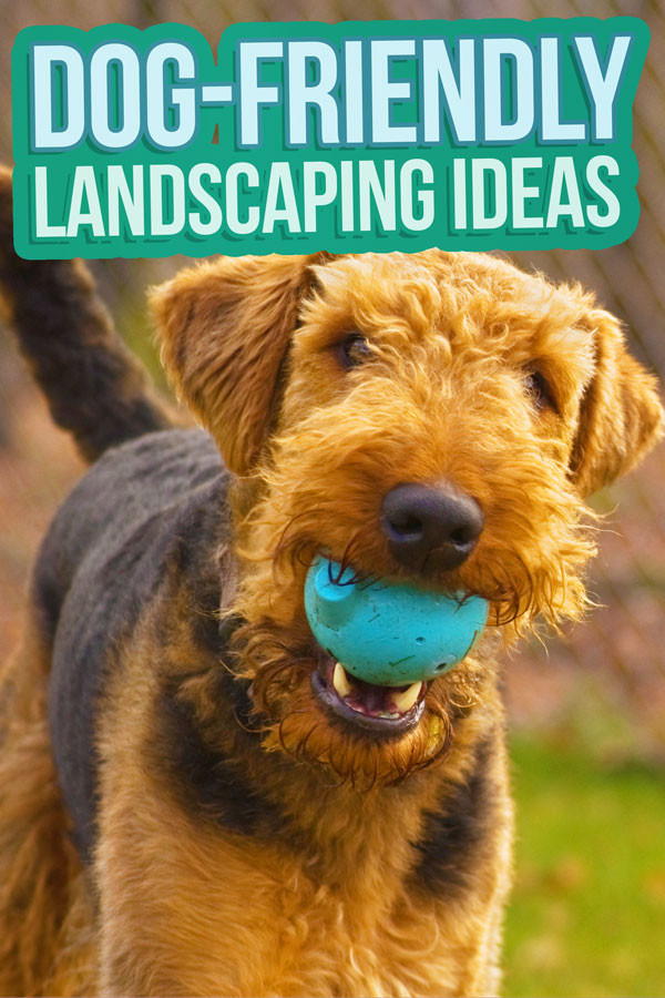 Dog Friendly Backyard Landscaping
 Dog Friendly Backyard Landscaping Ideas