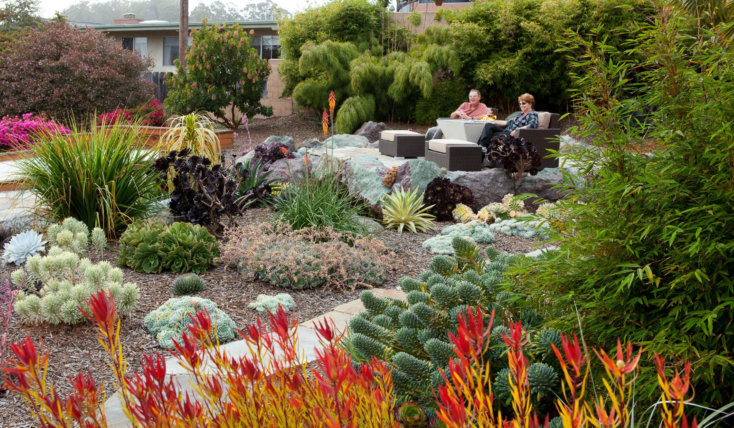 Drought Tolerant Landscape Design
 Bay Laurel Landscape Modern With Drought Tolerant Garden