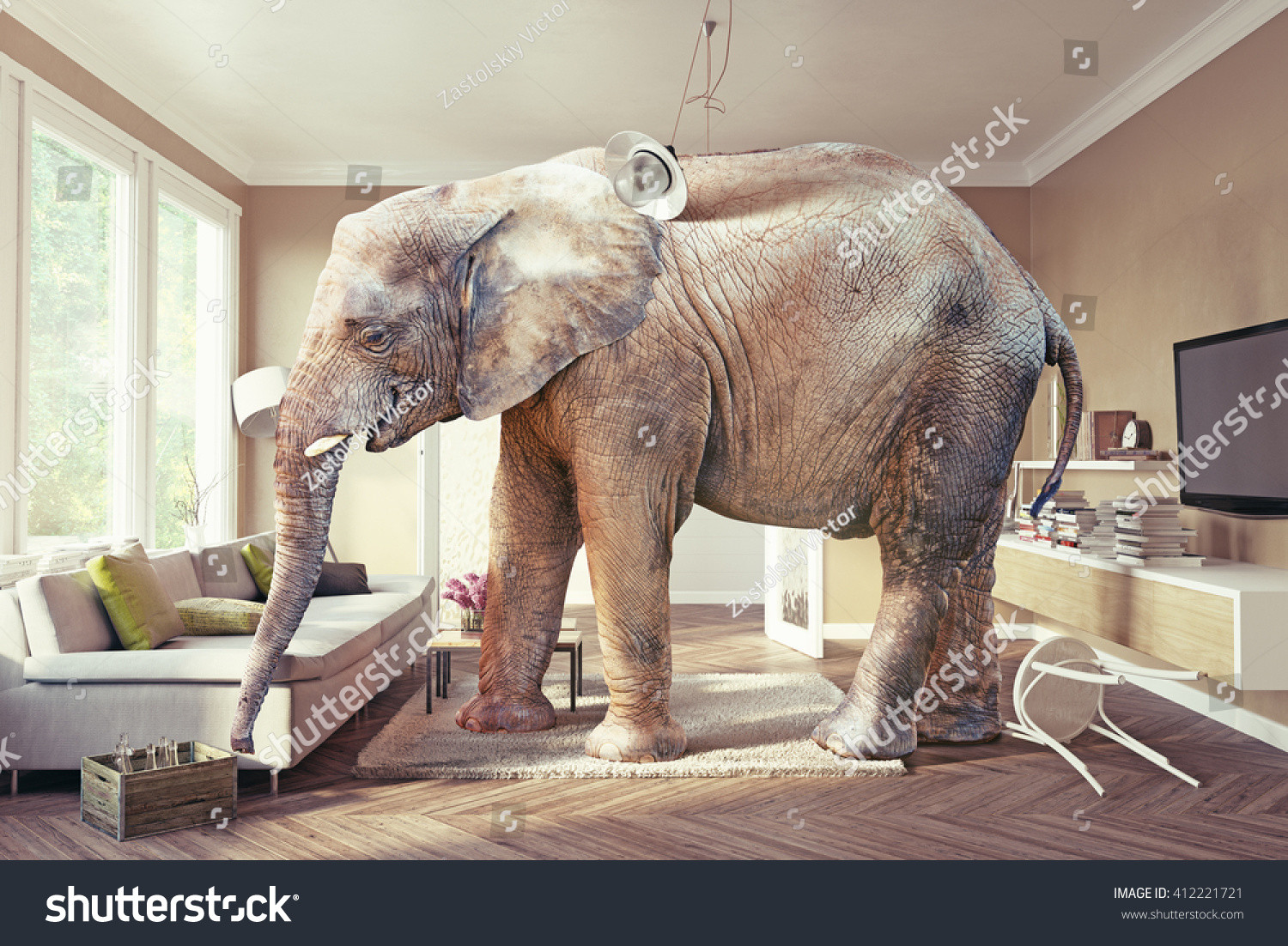 Elephant Decor For Living Room
 The Elephant In The Living Room – Modern House
