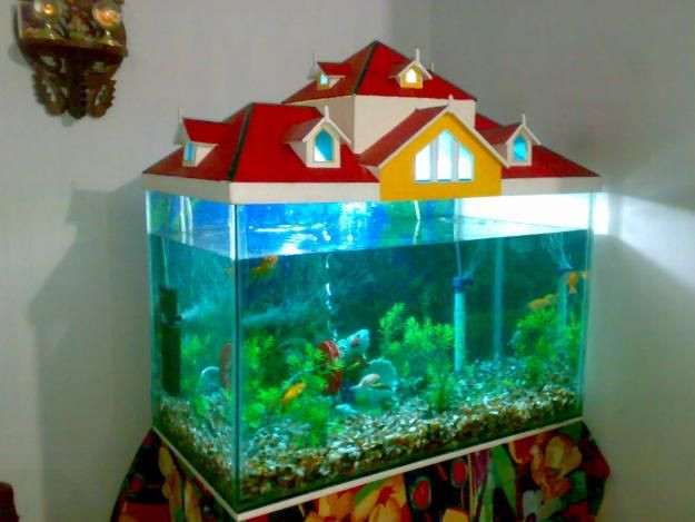 Fish Tanks For Kids Rooms
 28 best images about Fish tank ideas on Pinterest