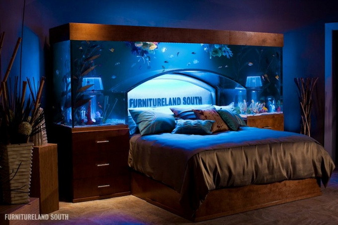 Fish Tanks For Kids Rooms
 fish tanks for kids rooms
