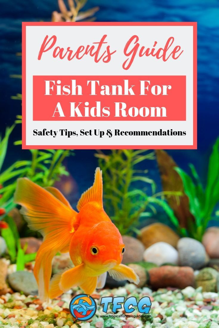 Fish Tanks For Kids Rooms
 Fish Tank In Toddlers Room Safety Set Up & Tips [Parent