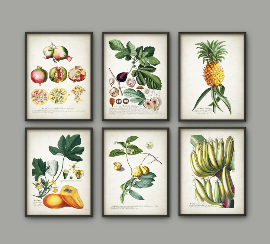 Fruit Wall Art Kitchen
 Tropical Fruit Print Set 6 2 Kitchen Fruit Wall Art