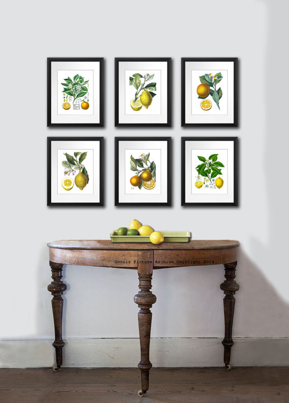 Fruit Wall Art Kitchen
 Kitchen Art Decor Citrus Prints Set Orange print Lemon