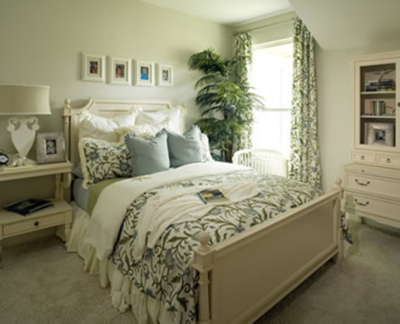 Great Bedroom Colors Elegant Bedroom Ideas Picture Great Bedroom Colors Design